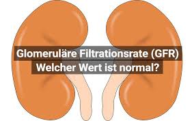 Niere glom filtrationsrate wert